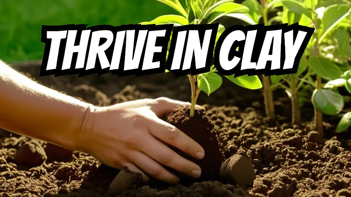 Planting Fruit Trees in Heavy Clay (5 Easy Steps to Maximize Growth)