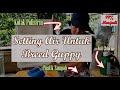 1. Cara Penyediaan Air Ikan Guppy || Jana Side Income Dengan Breed Guppy || Projek Guppy