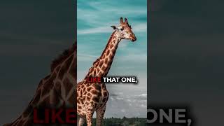 The HORRIFYING Reality of TROPHY HUNTING #animalshorts #joerogan #jre