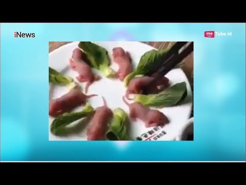 EKSTRIM! Chef Juna Pernah Makan Anak Tikus Hidup Secara Langsung Part B - UAT / EKSTRIM! Chef Juna Pernah Makan Anak Tikus Hidup Secara Langsung Part B - UAT /