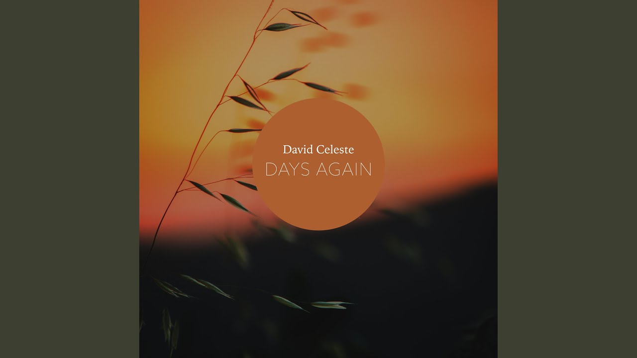 Never Leave This Place