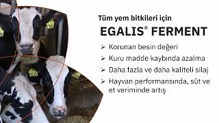 Alltechten, Yenilikçi Silaj Inokulantı Egalis