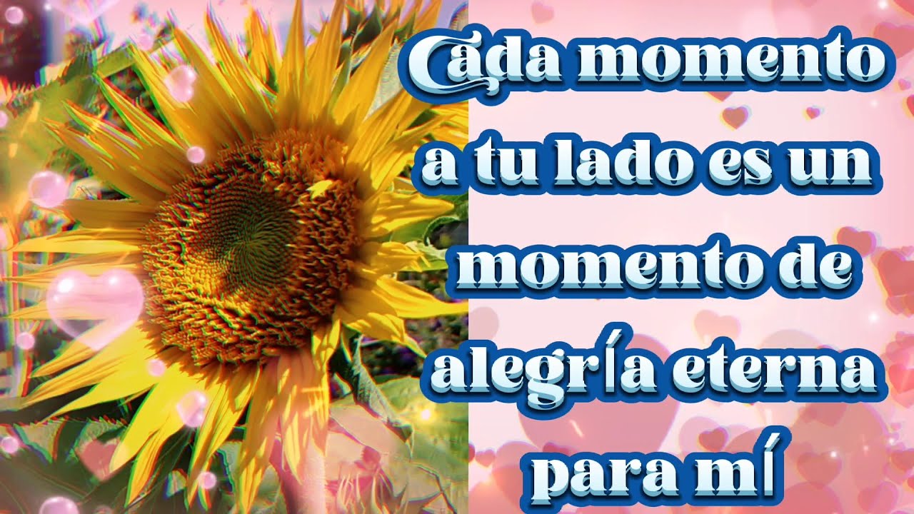 Mi amor, Cada momento a tu lado es un momento de alegría eterna para mí,  Frases de Amor - YouTube