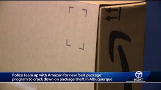 Police team up with Amazon to help catch porch pirates