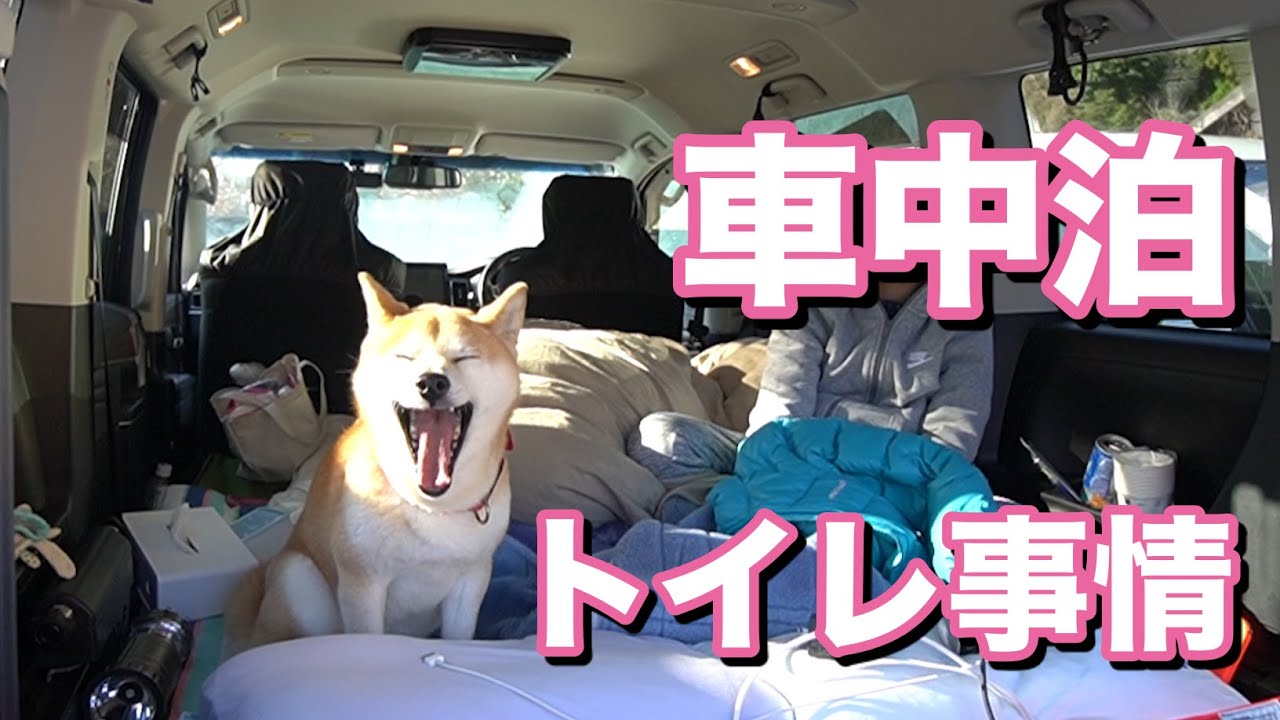 柴犬小春 愛犬の車中泊トイレ事情 Youtube