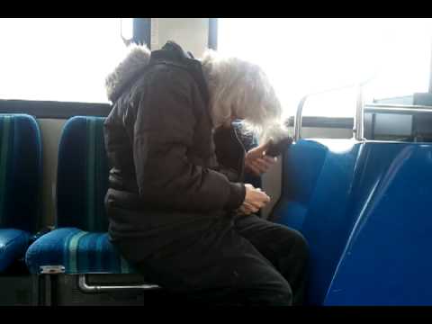 Gettin' Those Silver Locks Combed Nice n' Pretty