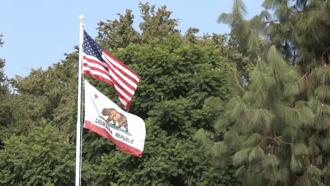CA AB 1663 reforms conservatorships | Palomar News - YouTube