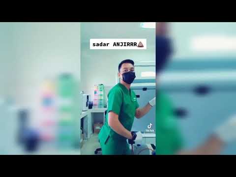 Video: Ventricular Septal Defect (VSD) pada Anjing