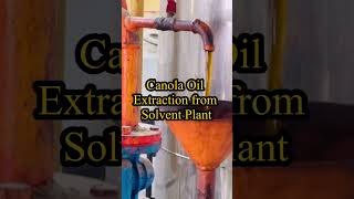 Canola Oil Extraction From Solvent Plant Industrial Oil Production Process.