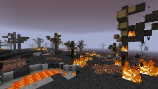 Minecraft Mod Reviews | Working Sponges N' Biomes O' Penty 1.8.6
