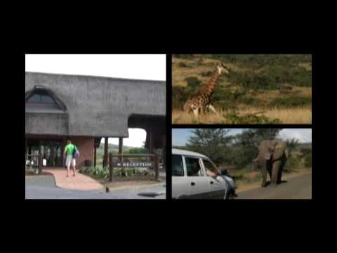 Video: Hluhluwe-Imfolozi Park, Sudáfrica: la guía completa