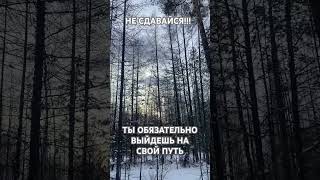Заблудился? #ищи #свой #путь #несдавайся#art #свойпуть #вперед #зима #природа#небо#лес#ты #art#сила