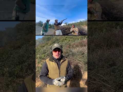 Video: Fucile da caccia a canna liscia 