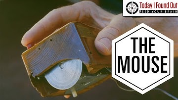 Who Invented the Computer Mouse and Its Surprisingly Long Journey to Your Desk