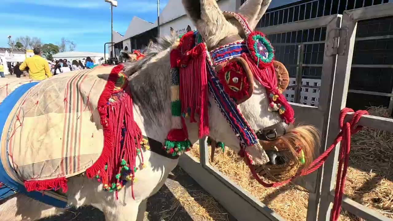 Feria del Caballo Cartaya 2024