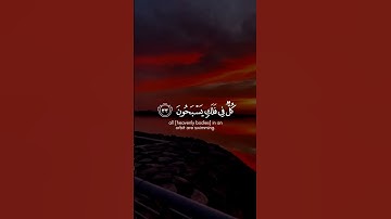 ﴿وما جعلنا لبشر من قبلك الخلد أفإن مت فهم الخالدون﴾سورة الأنبياء نايف الجاسرMuslim book#قرآن