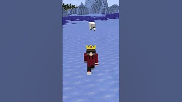 Minecraft but If You Like The Video I Get Randomly Teleported 😰