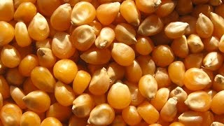 Kernel Governors Explained