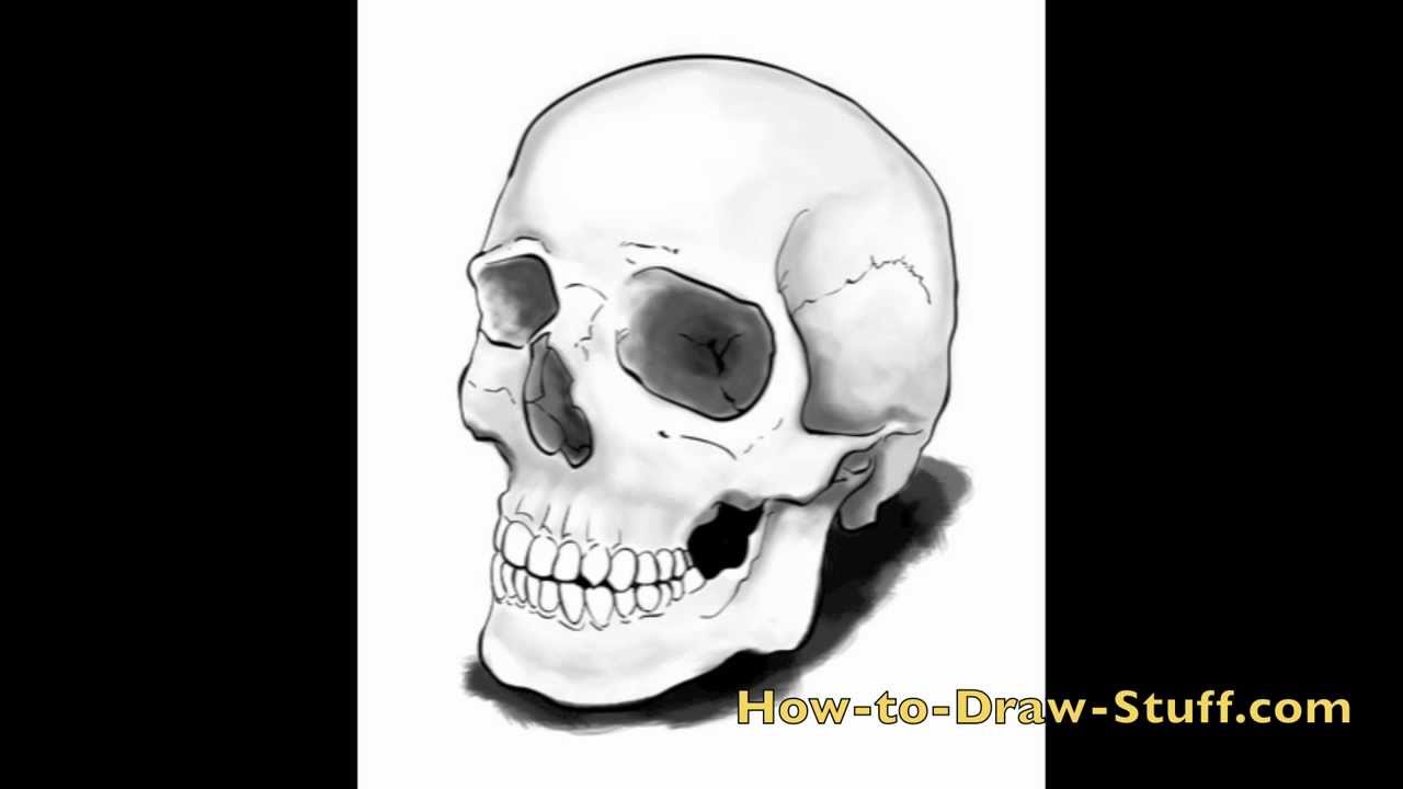 How to Draw a Skull - An Easy Simplified Front View - Let's Draw That!