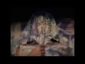 Short Film The Secret Window 2014