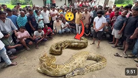 जब किसान के खेत में मिला अजगर सांप और देखिए कौन से जीव को जिंदा निगल गया। #murliwalehausla #snake