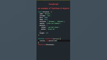 An example of JavaScript functions and objects | pass an object to a function