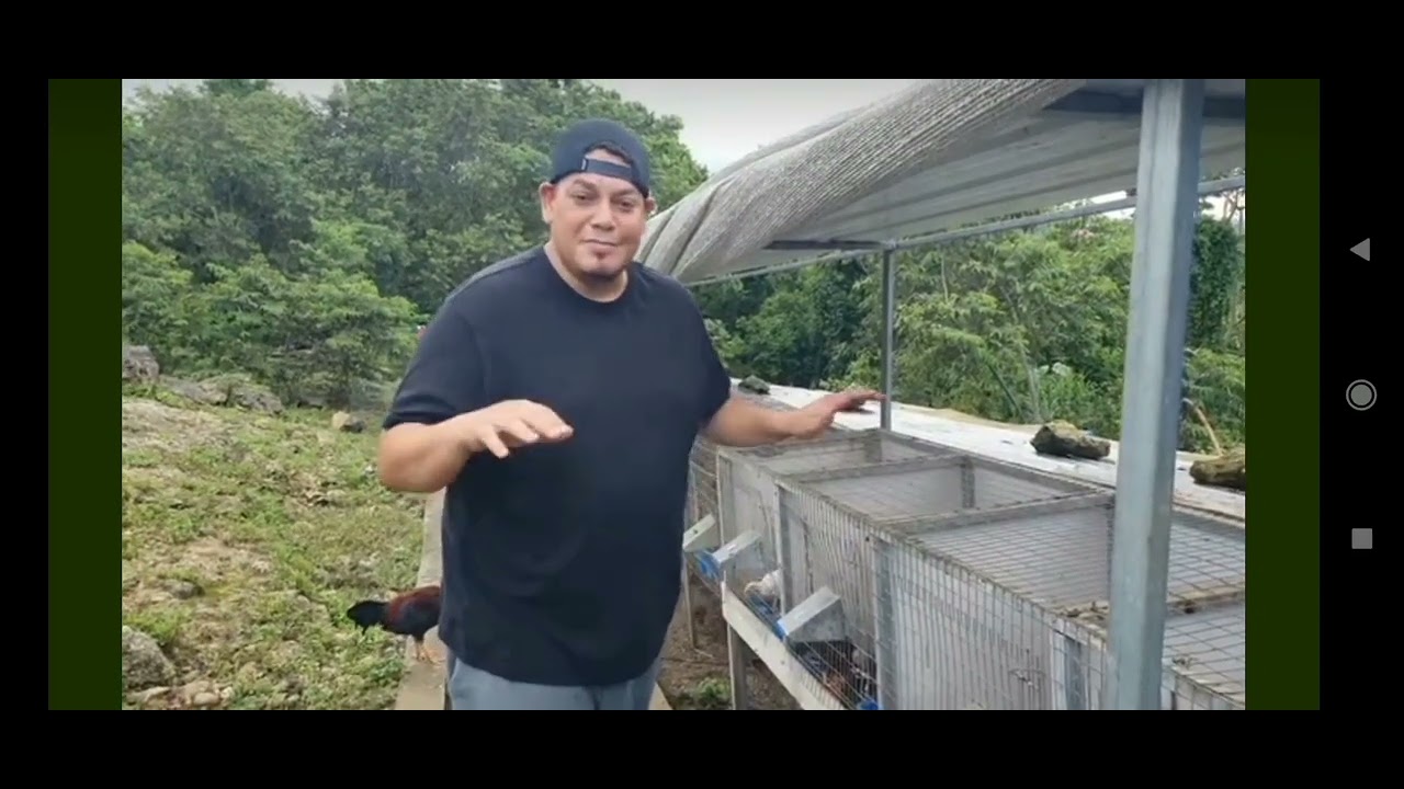 Ralito Morales nos muestra su forma de adaptar los pollos a la tierra