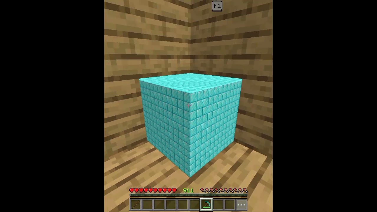 Minecraft Crazy Optical Illusion Moment