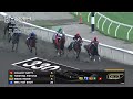 Woodbine, Tbred, August 8, 2026 Race 2 | Woodbine Horse Race Replay