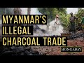Is Your Cellphone Part of an Illegal Charcoal Trade That's Destroying Tropical Forests?