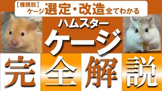 ハムスターさん専用　参考写真 ハムスターHamster】2年半に亘って探究・改造してきたケージを