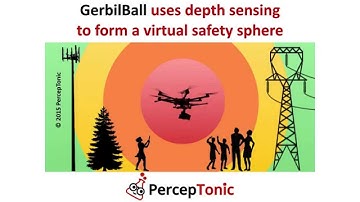 GerbilBall by PercepTonic
