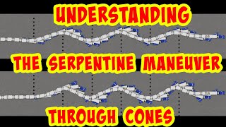 The Serpentine Back - Reversing Through cones