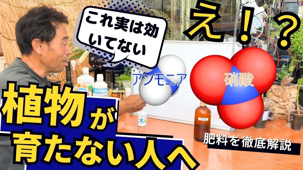 【新発見】植物が本当に求めているのは...これだ！肥料がなぜか効かないその仕組みをゆっくり解説していきます。