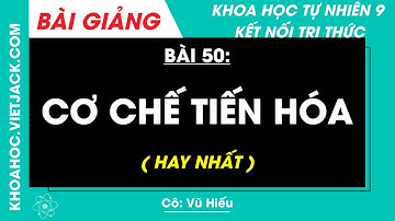 Khoa học tự nhiên 9 Bài 50: Cơ chế tiến hoá | Kết nối tri thức (HAY NHẤT)