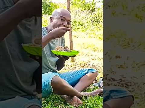 Under The Sun My Soul Feasts On Millet Bread Ugandan Fufu Peanut With Fish Viral Shorts