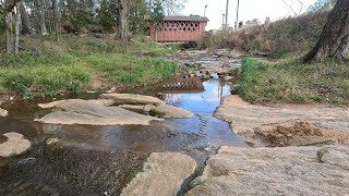 How Many Snakes Are In There? Just 9 Minutes See This Small Town Municipal Park Opelika