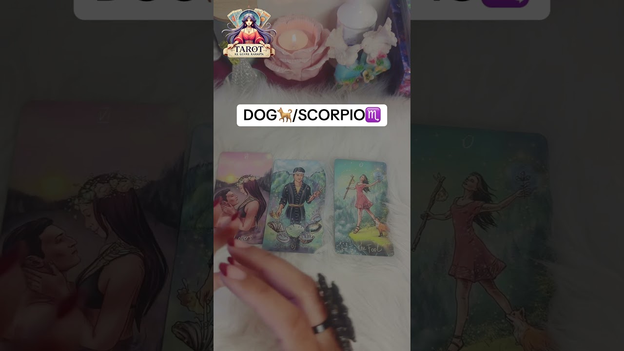 🔮Dog/Scorpio weekly Prediction