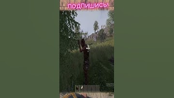 улетное выживание в приятной компании часть 45 #rust #растмирейд #vtuber #растмирейд  #игры