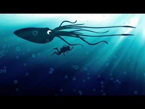 Vidéo: La Légende Du Monstrueux Kraken Est-elle Une Réalité? - Vue Alternative