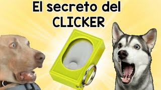 Que es el Clicker? Cómo Funciona y como se usa.