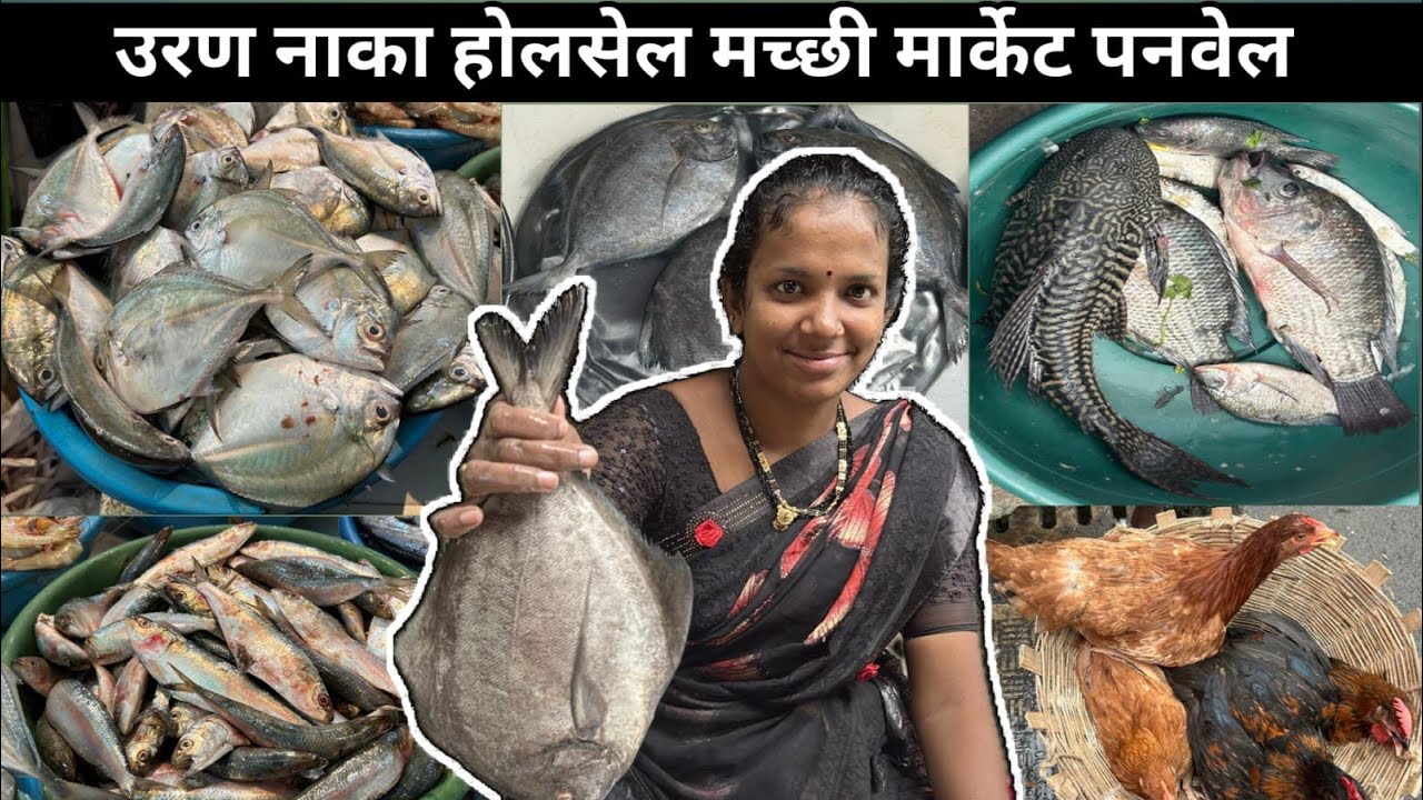 Old Panvel Koliwada Fish Market | Panvel machhi Market | Wholesale Fish Market In Mumbai | Bombil 