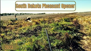 South Dakota Pheasant Opener
