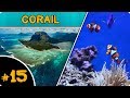 O trouveton du corail dans les ocans  feat melvak