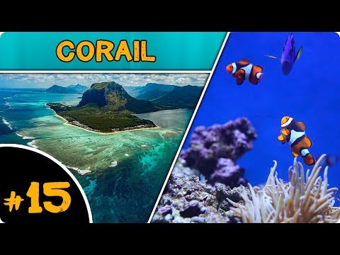 Où trouve-t-on du CORAIL dans les OCÉANS ? (feat. Melvak)