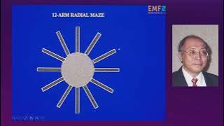 18  Neurological Effects of Nonionizing Electromagnetic Fields, Henry Lai PhD