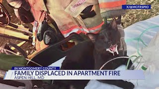 Family displaced, several cats rescued after apartment fire in Aspen Hill