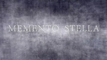 Singapore Biennale 2019 - Memento Stella by Takashi Makino