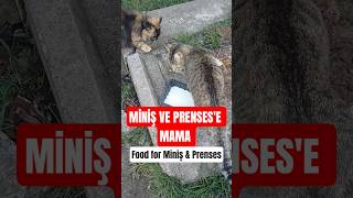 Miniş&Prenses