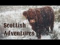 Scottish Adventures ❄ Шотландские Приключения